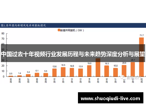 中国过去十年视频行业发展历程与未来趋势深度分析与展望
