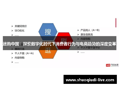 迷购中国：探索数字化时代下消费者行为与电商趋势的深度变革